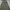 Vintage Midi dress Wanita tan photo 3
