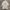Cotton On Casual Cardigan Pria white photo 1
