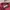 Fred Perry Sportswear Casual Sweatshirt Pria burgundy photo 3