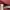 Fred Perry Sportswear Casual Sweatshirt Pria burgundy photo 4