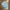 Superdry Sportswear Casual Short Pria gray photo 2