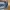 Jeep Biker Casual Jeans Pria multicolor photo 6