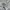 Vivienne Westwood Casual Sweater Wanita white photo 6