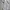 Vivienne Westwood Casual Sweater Wanita white photo 4