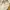 Carhartt Vintage Streetwear Hoody Pria white photo 4
