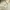 Carhartt Vintage Streetwear Hoody Pria white photo 3