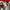 VANS Streetwear Skater Polo shirt Pria multicolor photo 5