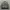 Buckaroo Streetwear Casual Bomber jacket Pria black gray photo 1