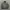 Buckaroo Streetwear Casual Bomber jacket Pria black gray photo 2
