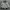 Streetwear Sportswear Bomber jacket Pria white blue photo 2