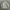 Old Navy Casual Track jacket Pria white blue photo 3