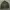 Casual Track jacket Pria green photo 3