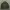 Casual Track jacket Pria green photo 1