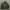 Casual Track Jacket Pria Green