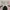 Acne Studios Streetwear Sweatshirt Pria Pink