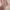 Acne Studios Streetwear Sweatshirt Pria pink photo 3