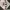 Acne Studios Streetwear Sweatshirt Pria pink photo 4