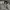 Casual Bomber jacket Pria white photo 4
