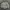 Casual Bomber jacket Pria white photo 3