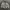 Casual Bomber jacket Pria white photo 2
