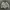 Casual Bomber jacket Pria white photo 1