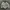 Casual Bomber Jacket Pria White