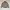 Japanese brand Vintage Streetwear Bomber jacket Pria green photo 1