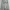 GAP Streetwear Sweater Pria Gray