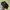 Visvim Luxury Avant Garde Loafer Pria black photo 1