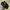 Visvim Luxury Avant Garde Loafer Pria Black