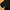 Columbia Gorpcore Sportswear Windbreaker Pria black photo 4