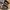 Nike Streetwear Sportswear Sneakers Pria multicolor gray photo 7