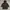 C.P. Company Y2K Hoody Pria black photo 1