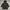 C.P. Company Y2K Hoody Pria Black