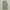 Streetwear Gorpcore Jeans Pria cream photo 2