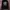 Adidas Streetwear Casual Sweatshirt Pria black photo 1