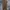Dickies Vintage Formal pants Pria khaki photo 1