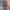 Dickies Vintage Formal pants Pria khaki photo 2