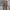 Dickies Vintage Formal Pants Pria Khaki