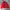 Streetwear Bomber jacket Pria red photo 4
