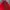 Streetwear Bomber jacket Pria red photo 5
