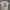 Stussy Vintage Streetwear T-shirt Pria white photo 1