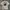 Stussy Vintage Streetwear T-shirt Pria white photo 1