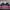 Spao Vintage Polo shirt Pria navy red photo 2