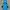 Montbell Gorpcore Track Jacket Pria Blue Yellow