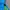 Montbell Gorpcore Track jacket Pria blue yellow photo 3