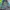Montbell Gorpcore Track jacket Pria blue yellow photo 6