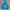 Montbell Gorpcore Track jacket Pria blue yellow photo 7