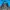 Montbell Gorpcore Track jacket Pria blue yellow photo 5