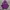 THISISNEVERTHAT Damaged Logo Popover Hoodie - Purple   photo 1